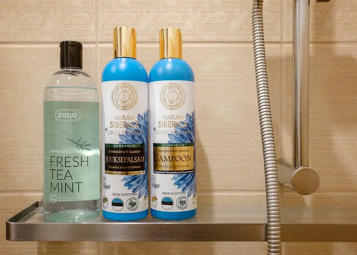 Historic At Center Appartement Tallinn