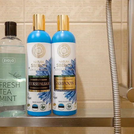 Historic At Center Apartman Tallinn